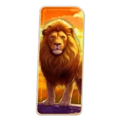 Lion
Safari